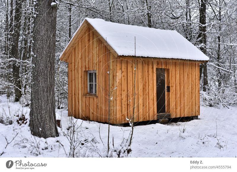A lonely cottage in the winter forest. The quiet forest offers beautiful contemplative experiences. Draw new energy and enjoy the seclusion of the winter landscape