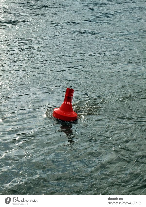 Neckar buoy River Water Buoy Red Glittering Waves Small Deserted Reflection Environment floating body