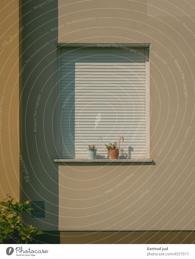 Window with closed shutters and flower pots on beige facade Light Summer Shadow House (Residential Structure) Wall (building) Wall (barrier) Exterior shot