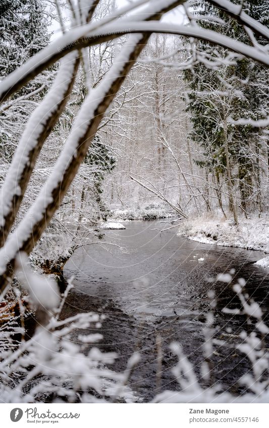River in winter hiking snow hike forest river latvia Snow Winter Nature Forest Landscape Environment chill Winter mood Winter's day Winter forest Snowscape