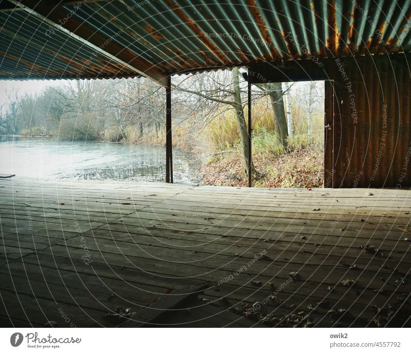 Back to nature Boathouse Fishermans hut Corrugated-iron hut Wooden floor Opening Decline Transience Destruction Metal Abstract Colour photo Copy Space top