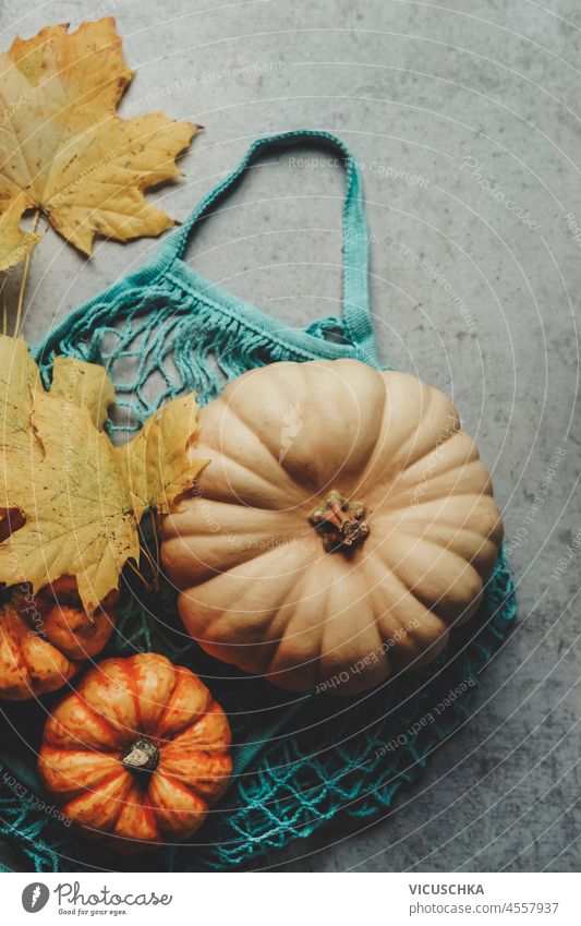 Close up of pumpkin in blue reusable shopping bag with beautiful autumn leaves on grey background. Sustainable and plastic free lifestyle. Autumn concept with seasonal vegetables. Top view.