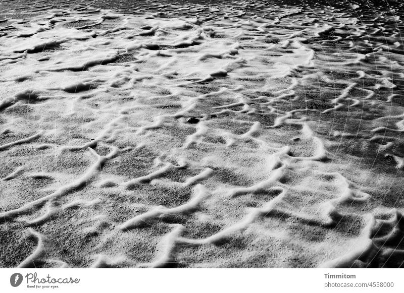 boasting White crest Waves North Sea Water Nature Elements Foam Environment Exterior shot Deserted Movement Denmark