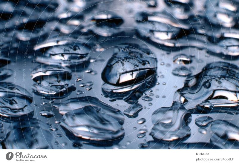 trickle Mirror Near Water Drops of water Rain Reflection