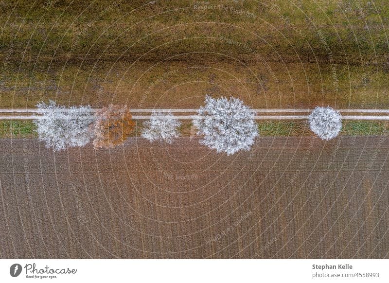 Aerial top down shot of frozen white treetops. winter cold outdoor landscape season background frost ice beautiful day environment field agriculture climate brr
