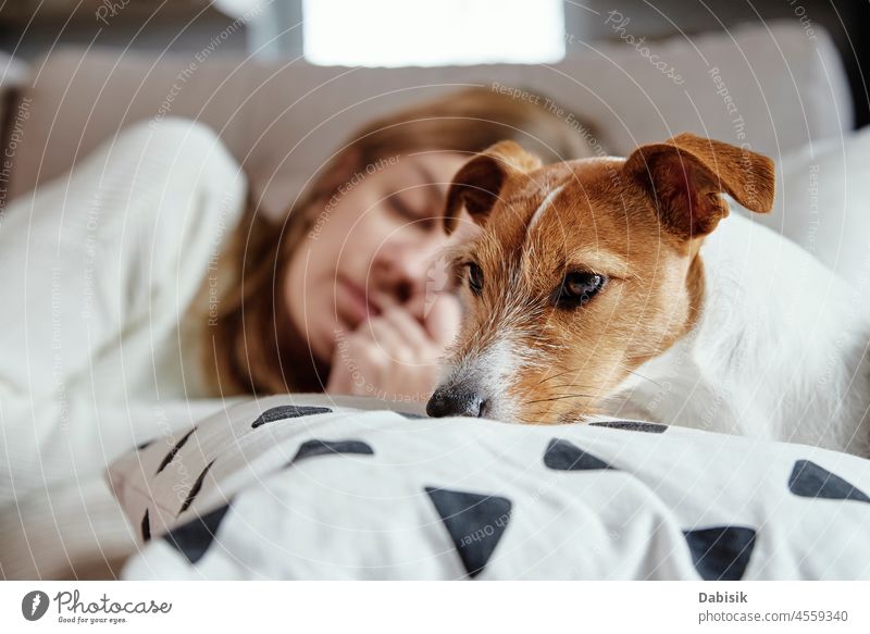 Woman sleep with dog on sofa pet woman animal bed friendship rest caucasian lifestyle beautiful cute female companion tired relaxation dream lying pretty