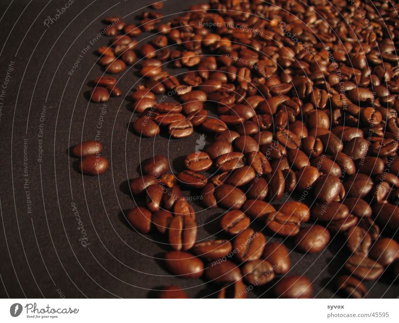 Coffee South Africa Espresso Beans Cappuccino Nutrition coffee beans