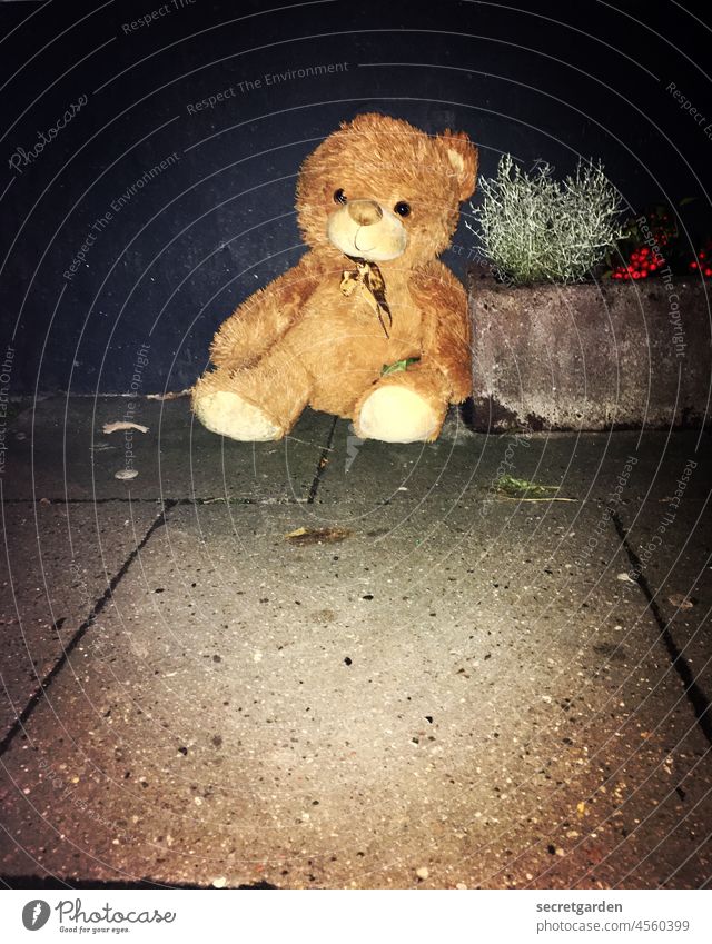 Me, childish? Come on Teddy, let's go! teddy Forget Doomed Roadside Lonely Homeless at night sad heartbreaking compassion Loneliness Infancy Colour photo Toys