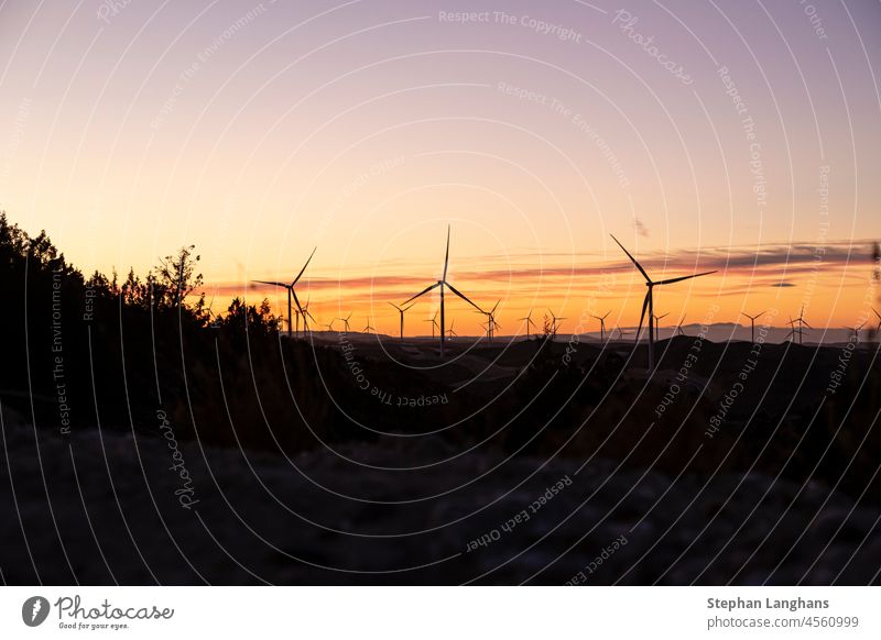 View on a large wind farm during sunset windmill environment energy wind power nature cloud renewable renewable energy technology heaven electricity generator