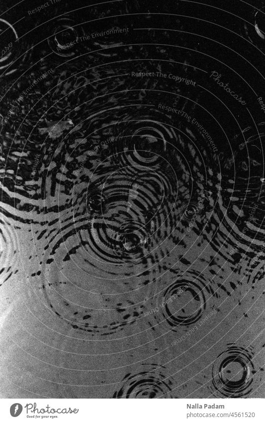 Concentric wave play Analog Analogue photo B/W Black & white photo Rain Water Round Drop Physics Exterior shot Deserted Wet Drops of water Line Pattern