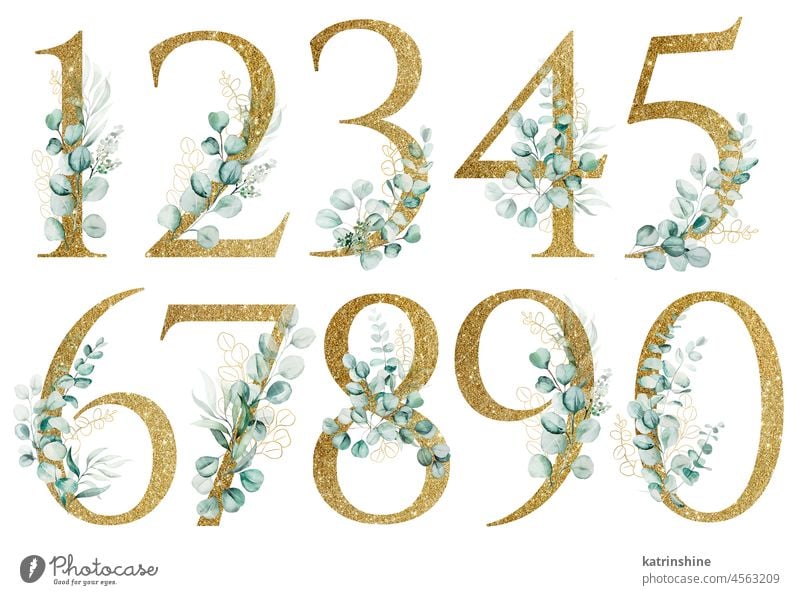 Golden numbers decorated with green Watercolor eucalyptus branches isolated Botanical Character Drawing Element Hand drawn Holiday Isolated Nature Numeric