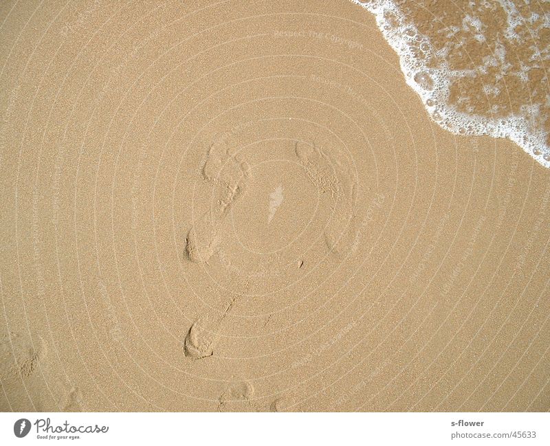 Barefoot in the sand Beach Ocean Traces in the sand Europe Water Sand