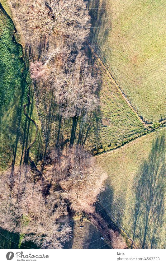 long shadows in the landscape Meadow Tree Brook Green Landscape Deserted Nature Bird's-eye view Aerial photograph UAV view Shadow Agriculture