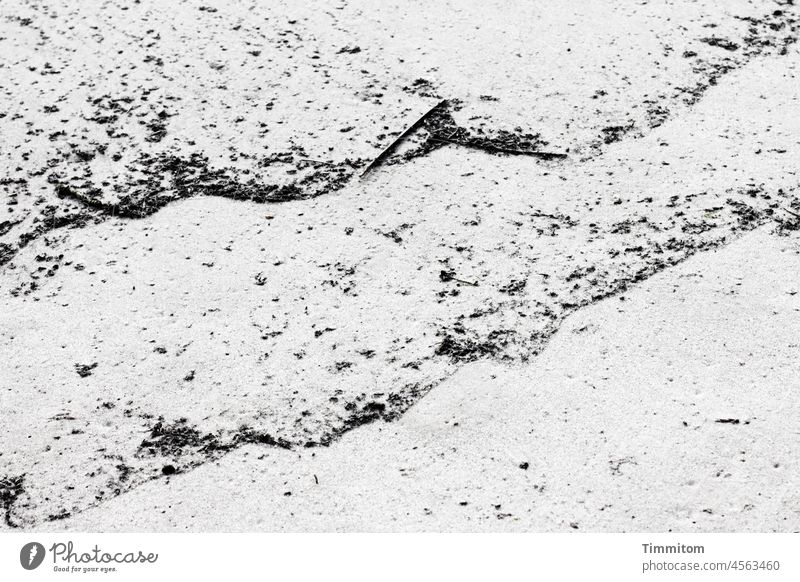 Waveform in the sand Undulation Sand Beach North Sea Monochrome Nature Deserted coast Vacation & Travel Denmark stones Delicate