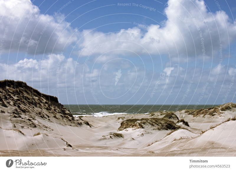 Waveform on land Undulation Beach Sand North Sea dunes Sky Clouds Water Blue Nature Vacation & Travel duene Denmark Deserted sand hill Force Marram grass