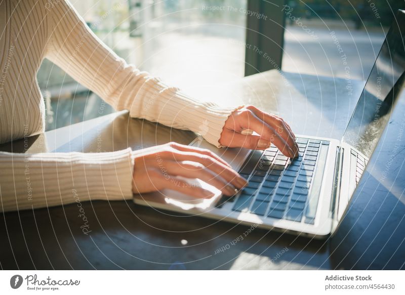 Crop woman typing email on laptop in cafe in sunlight freelance browsing project work device remote gadget using surfing internet business job occupation