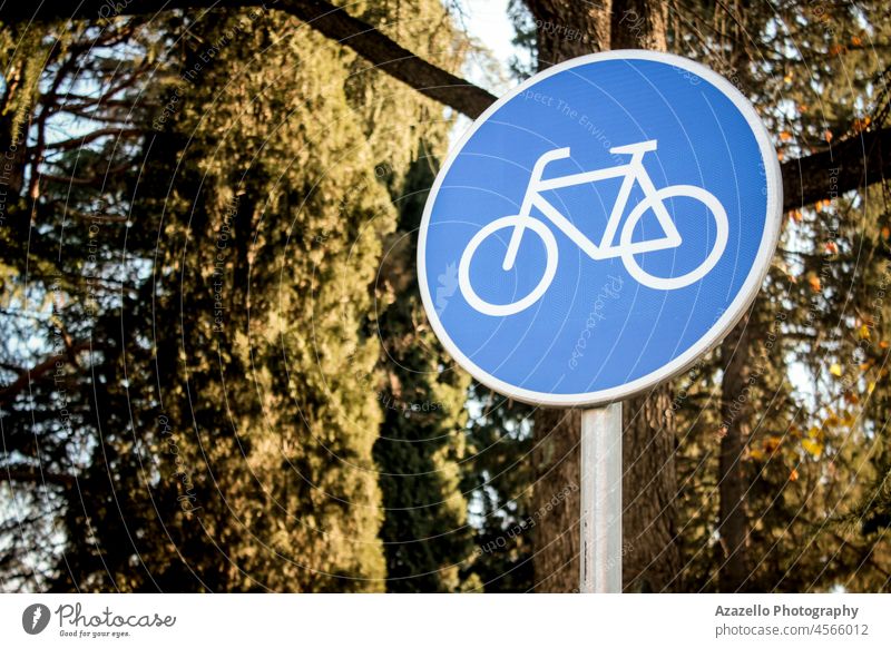 Bicycle road sign with green thees on the background. fitness workout lifestyle healthy recreation track bokeh trees metal direction pedestrian illuminated sky