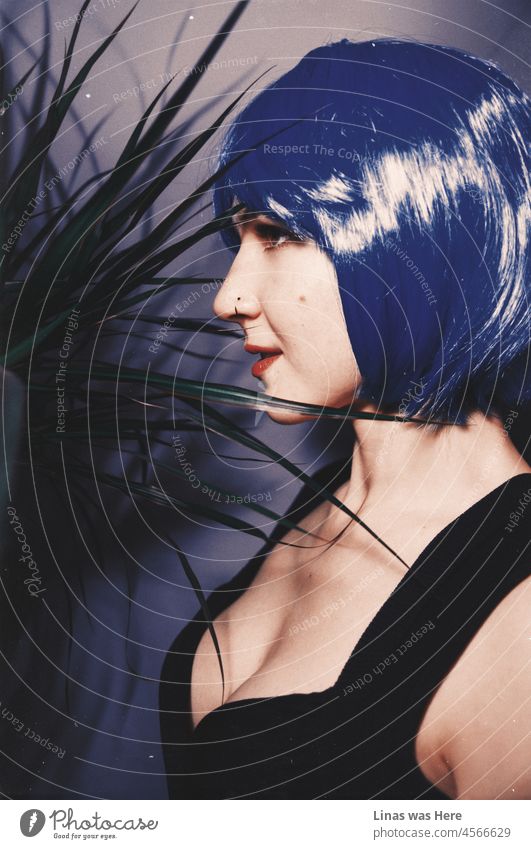 What a gorgeous profile of a beautiful woman with a blue wig. A black dress that shows off her sexy curves. And a touch of retro style. purple hairstyle