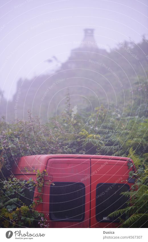 hidden van vehicle nature overgrown green plants misty day countyside mountain red abandoned