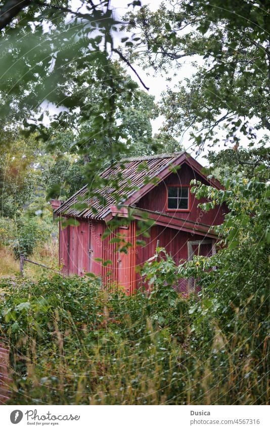 house in nature wood wooden red swedish sweden cabin cottage hidden forest woods home book cover
