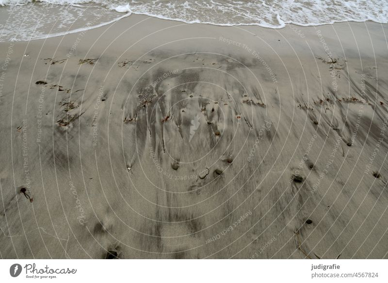 beach Beach Sand Baltic Sea Water coast Nature Ocean Vacation & Travel structure Pattern Waves seashells stones Wet background