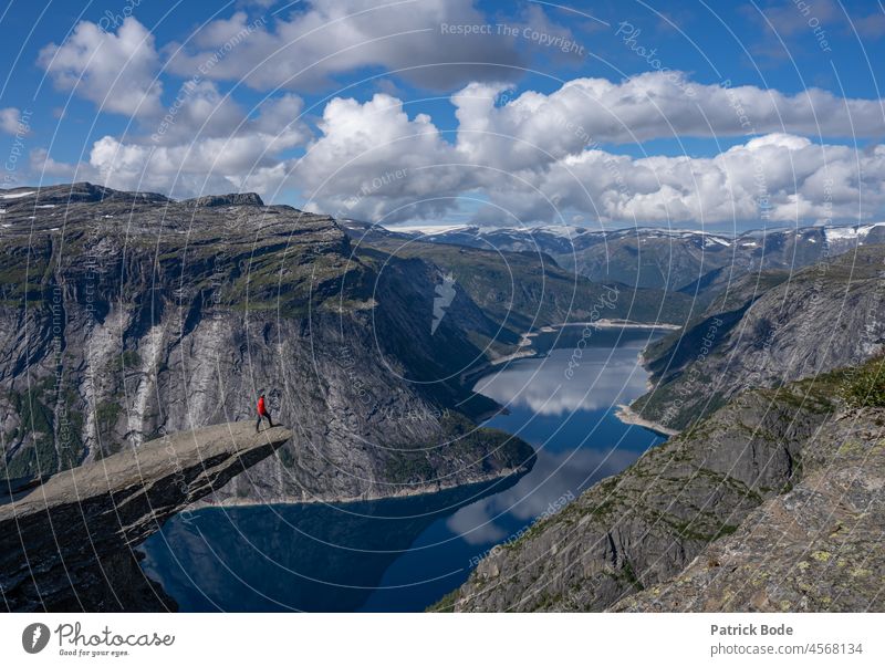 Man in red jacket on the rock Panorama (View) Exterior shot Vacation & Travel Colour photo Adventure Freedom Norway trolltunga Mountain Hiking Human being Fjord