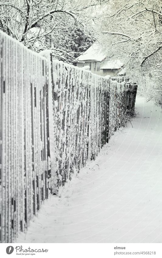 The snowy path next to the wooden fence leads to a building in the background / Winter / Climate Wooden fence lattice fence off Building Snow Fence Cold