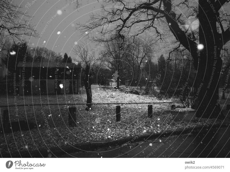 Dobru noc Twilight Exterior shot Black & white photo Low-key Snow Tree Snowfall Snowflake Winter Dark Cold Deserted Street Peaceful Evening Flash photo