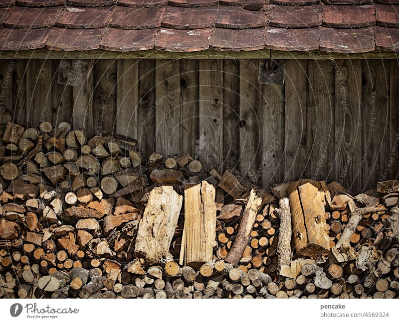 etwas warmes braucht der mensch . holzstapel vor einer hütte Holz Stapel Hütte Holzhütte Vorrat Energie Wärme Holzscheite Holzstapel Winter Nahaufnahme Gebäude