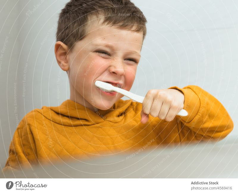 Boy brushing teeth in bathroom kid boy toothbrush hygiene everyday routine daily oral personal domestic care morning home dental clean clear essential washroom