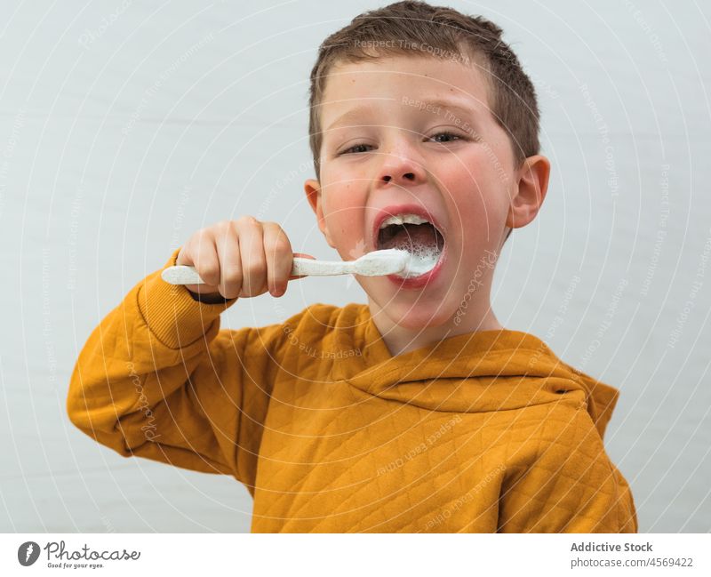 Boy brushing teeth in bathroom kid boy toothbrush portrait looking at camera hygiene everyday routine daily oral personal domestic care morning home dental