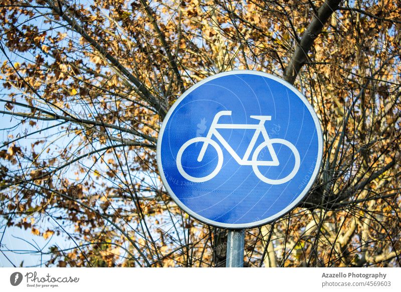 Bicycle road sign with with tree branches on background bicycle bike biking blue bokeh circle city direction fitness healthy icon illuminated lane lifestyle