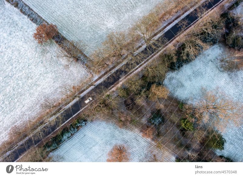 Road through winter landscape Oak Alley Winter Snow Street avenue trees Cold Landscape Lanes & trails Tree Nature Ice Bird's-eye view UAV view from on high