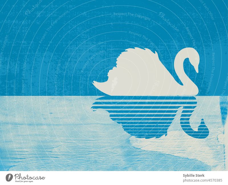 Swan on lake swan bird negative space reflection halftone print texture simple minimalist winter water nature animal