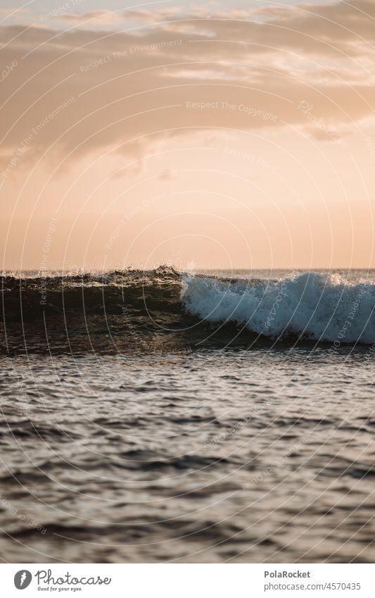 #A0# Wave Waves Swell Undulation Wavy line Wave action wave Wave break Crest of the wave Ocean Water vacation Vacation mood Vacation photo Vacation destination