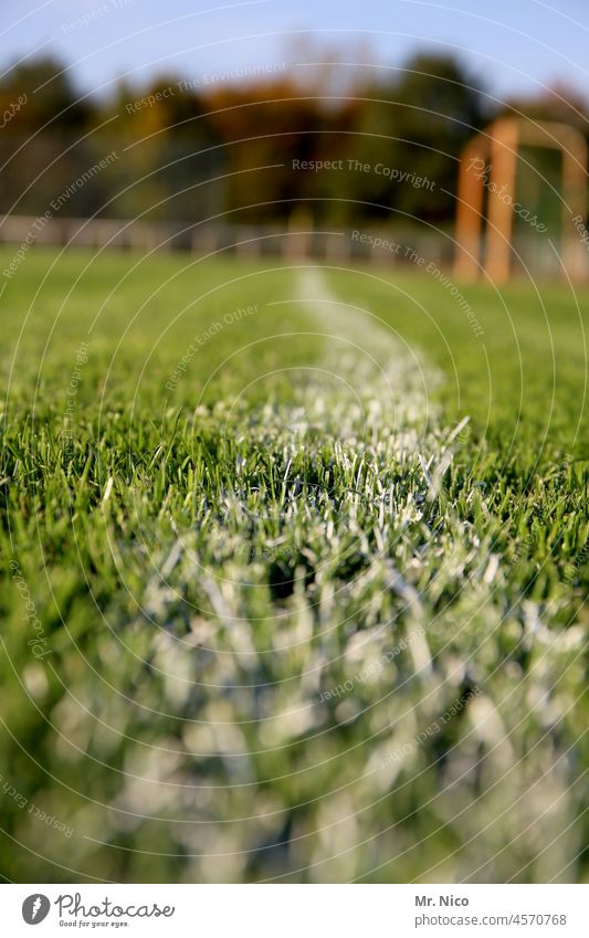 white line on green background Grass Green White Warped Line Sideline Playing field Meadow Grass surface Grass green Green space Football pitch Sporting Complex