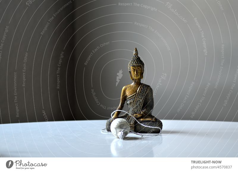 Buddha with silver ball Silver globe Decoration Sculpture Bronze empty room Statue of Buddha Buddhism Religion and faith Meditation Peace Asia Culture Calm Yoga