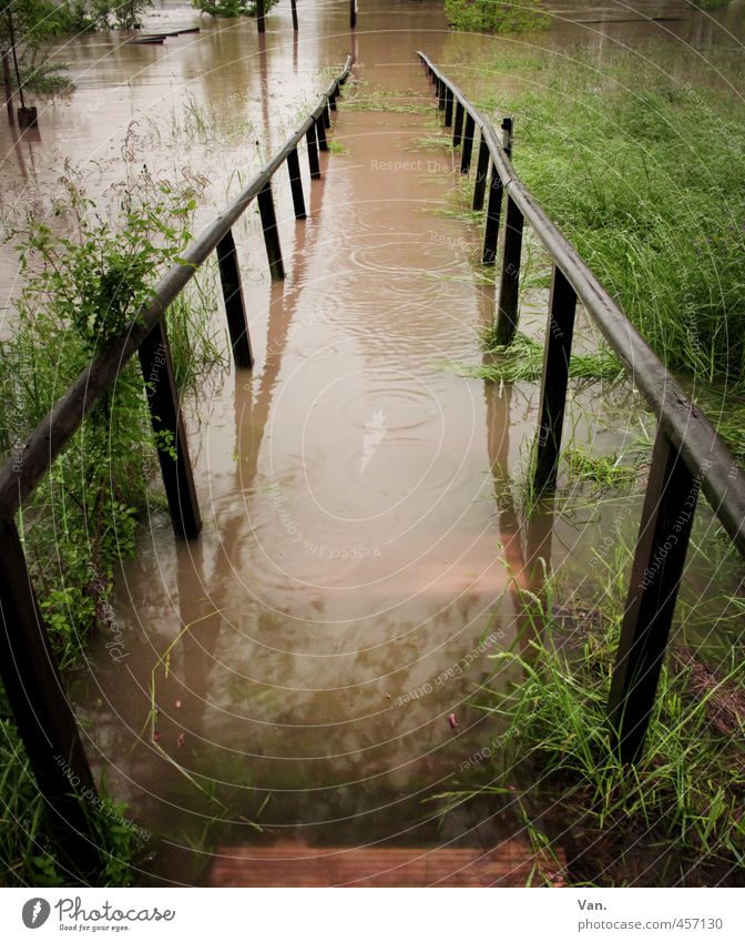 high water Nature Water Bad weather Rain Plant Grass Bushes Meadow Wood Wet Brown Green Flood Handrail Water level Colour photo Subdued colour Exterior shot