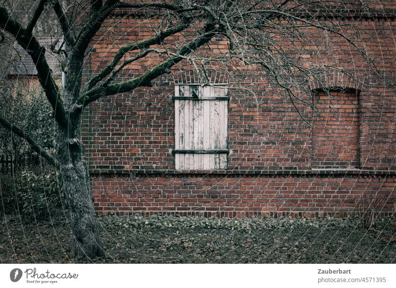 Shutter on an old brick wall, closed and bricked up window, in front of it a tree Closed Window Wall (building) Village rural Tree Facade Old Wall (barrier)