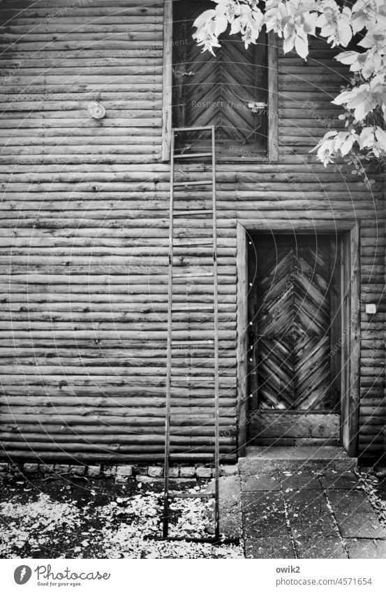 Standby mode Wooden hut Facade Wall (building) Window Hut Black & white photo Exterior shot Close-up Firm Structures and shapes Detail Protection Rustic Joist
