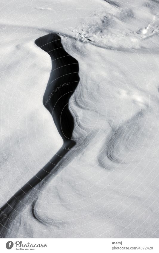 Snow like sand. Detail of wind shaped snow cover with whimsical shadow. Winter Nature Frost Uniqueness Cold naturally freshly-snowed snowfield winter Contrast