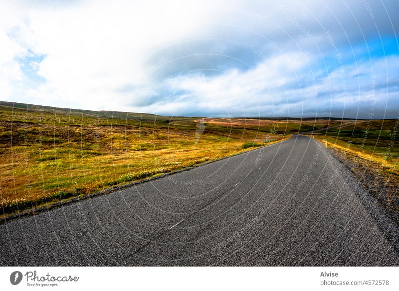 2021 08 13 Myvatn road between the meadows nature landscape travel lava grass iceland mountain europe scenery green rock outdoor water volcanic hill sky blue
