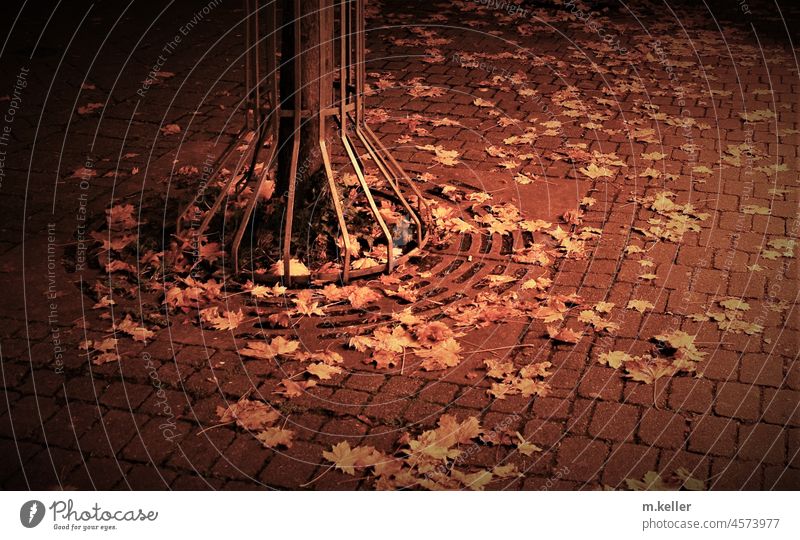 Autumn leaves lie on cobblestones. Evening light in the atmosphere of a city. Autumnal Brown tones evening light Town melancholy Tree trunk fenced Tree Trellis