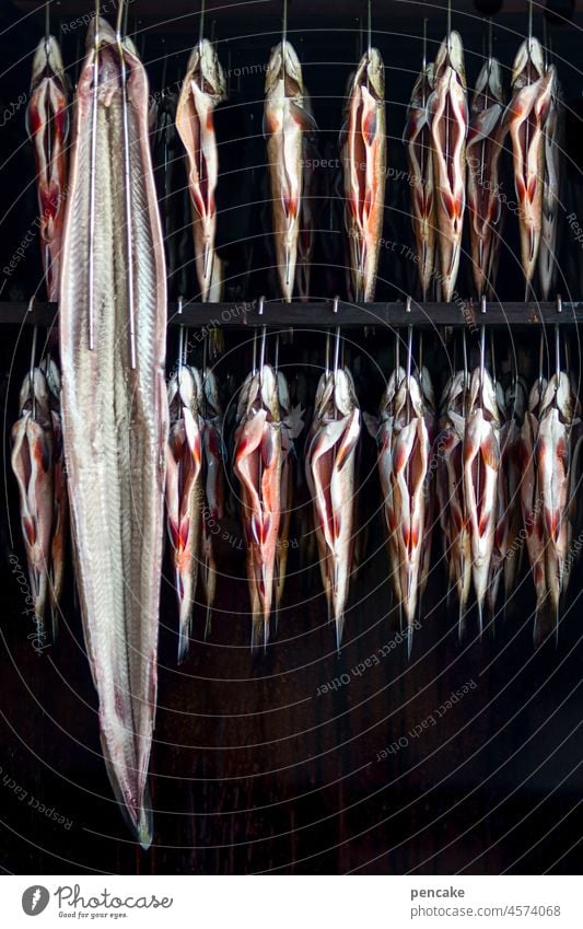 schlaraffenland | räucherfisch satt Fisch räuchern Räucherfisch essen Delikatesse viele Räucherschrank Schrank Feuer Rauch Buchenholz lecker Ernährung hängen