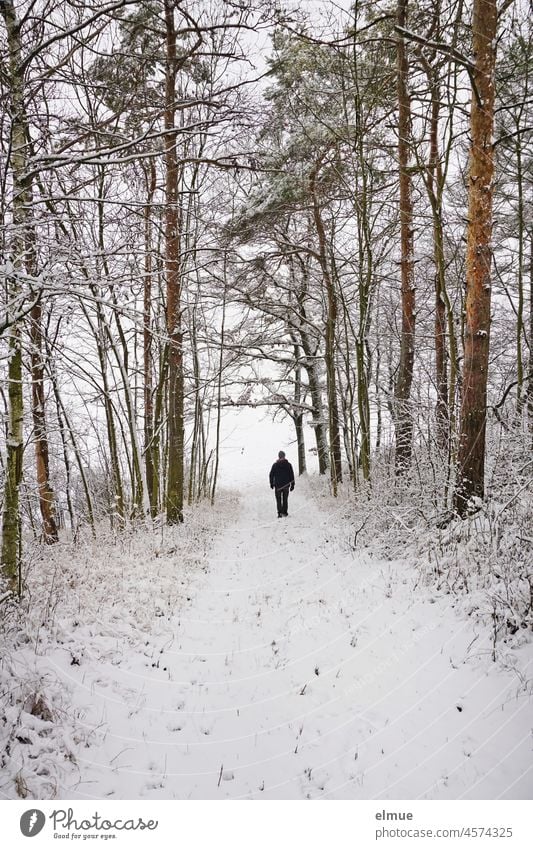 A man walks in the snowy forest on a path towards a clearing / winter / snow cover Forest Winter forest Man To go for a walk Snow off forest path to the light