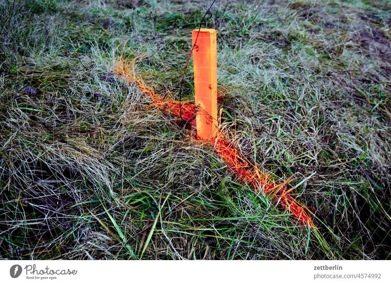 Marker for something Meadow Winter stake mark dash Line Border times measurement Construction site distance Grass Wood Wooden stake Farm Landscape Measurement