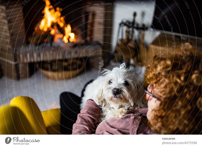 Senior woman wit her dog in front of the fireplace adorable armchair burn canine comfort comfortable couple cozy cute december doggy domestic elderly face