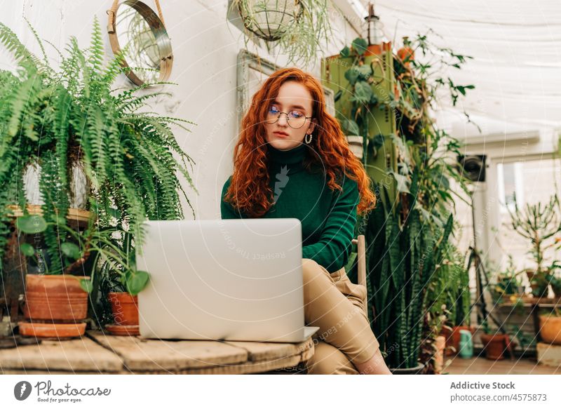 Serious woman working on laptop in indoor garden freelance using online internet concentrate telework female remote browsing job surfing netbook digital