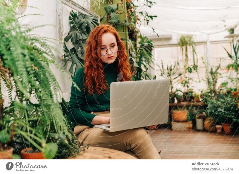 Serious woman working on laptop in indoor garden freelance using online internet concentrate telework female remote browsing job surfing netbook digital