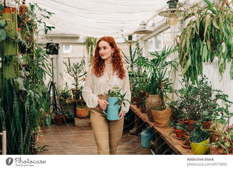 Gentle woman with jug of seedling in indoor garden houseplant cultivate potted botany foliage fresh hobby female botanic flowerpot redhead charming growth